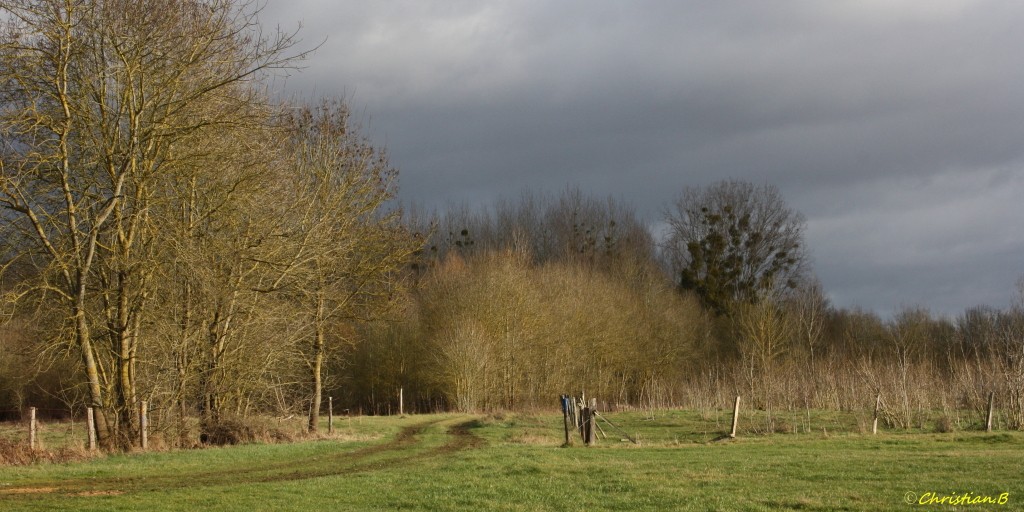Basse vallée Tiercé